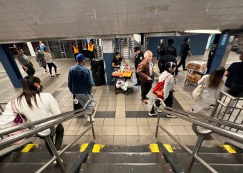 Increase in street vendors and the subway raises complaints from one shore and clamor for support from the other – The NY Journal