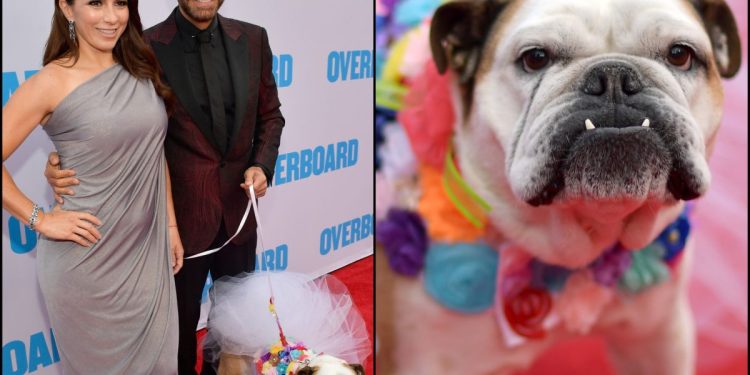 Eugenio Derbez shares video of the last goodbye and burial of his dog Fiona on Twitter