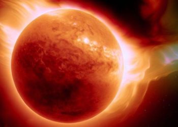 Solar storms are on the rise: What is the impact on Earth?  – The NY Journal