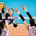 Kieu Trinh ‘fired a cannon’, making the Korean volleyball player’s face dark