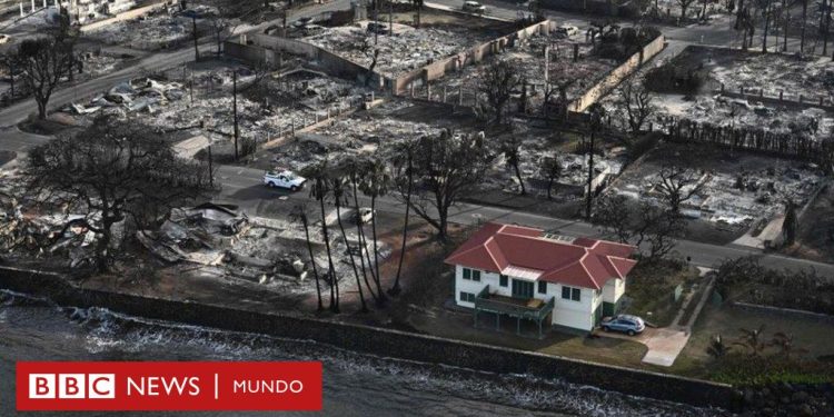 Fires in Hawaii: The impressive image of the house that survived the Maui fires – .