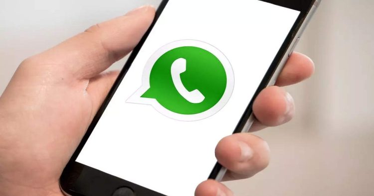 How to share HD videos on WhatsApp;  Everything you need to know