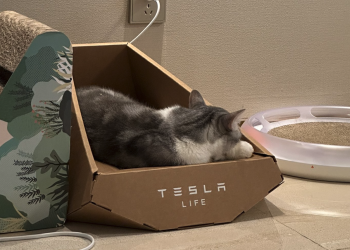 Tesla, Musk’s latest novelty is a cardboard cat house