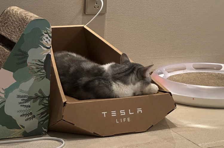 Tesla, Musk’s latest novelty is a cardboard cat house