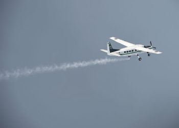 VIDEO: acrobatic plane crashes during a gender reveal party in Mexico and leaves one dead – El Diario NY