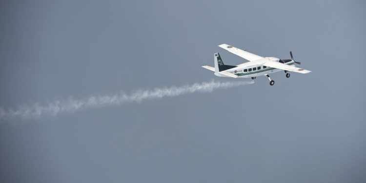 VIDEO: acrobatic plane crashes during a gender reveal party in Mexico and leaves one dead – El Diario NY